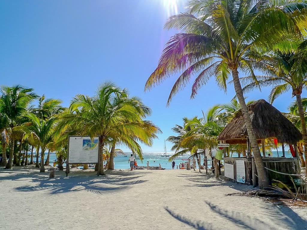 Apartments In Gated Residential Within Bahia Principe Grounds Акумаль Экстерьер фото